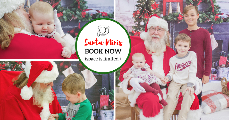 Santa Minis #1 Welcome To Painted Posies Photography