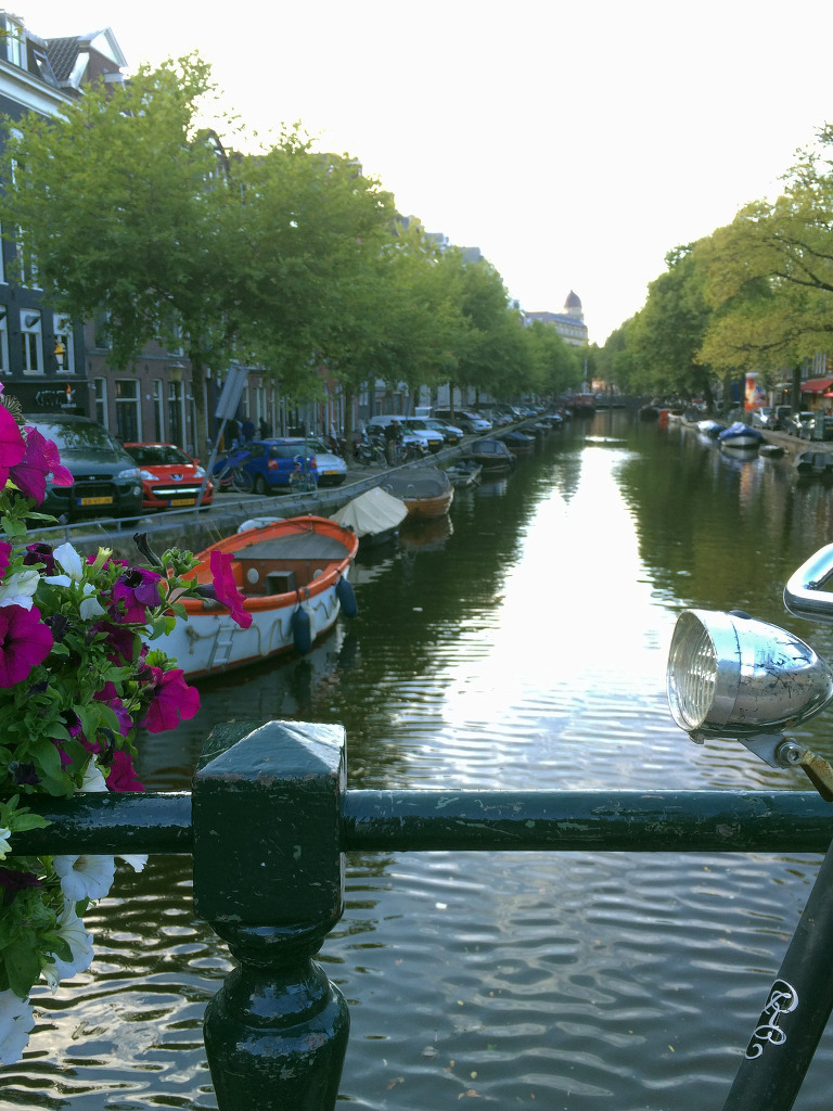 Amsterdam Canal paintedposies.com