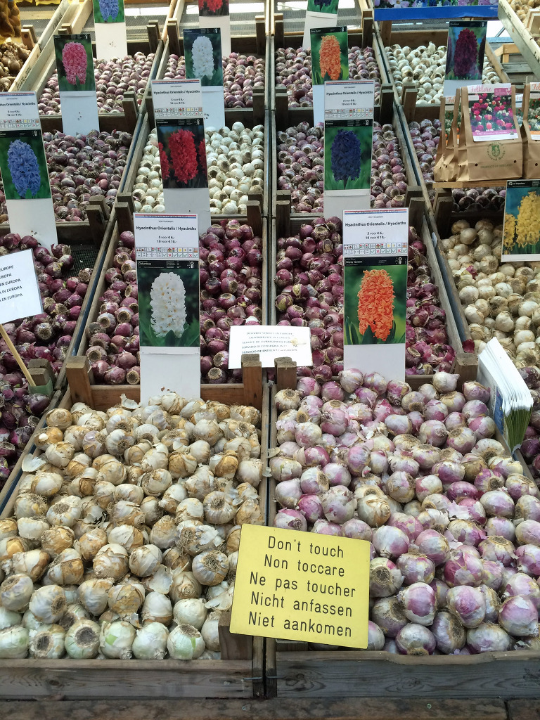 Amsterdam Flower Bins paintedposies.com