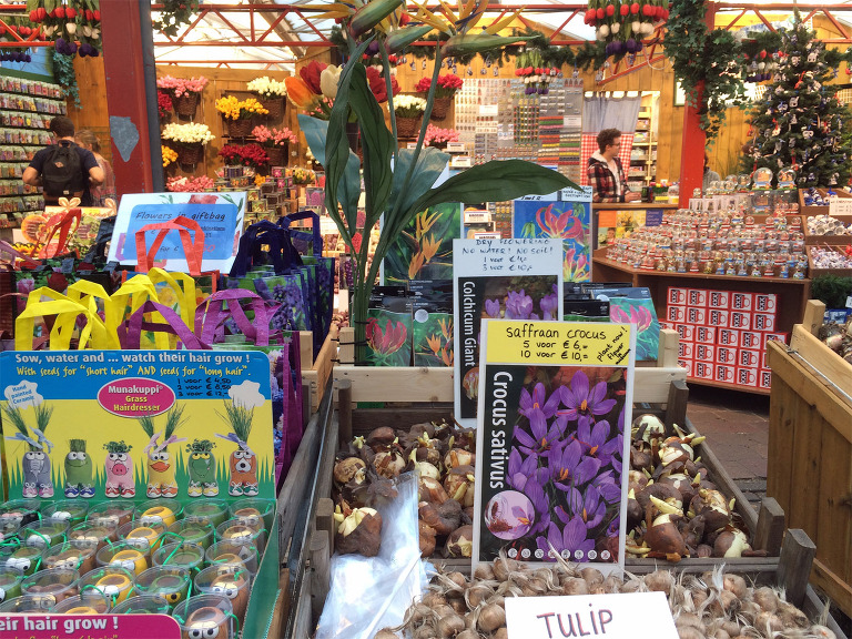 Amsterdam Flower Market Bulbs paintedposies.com