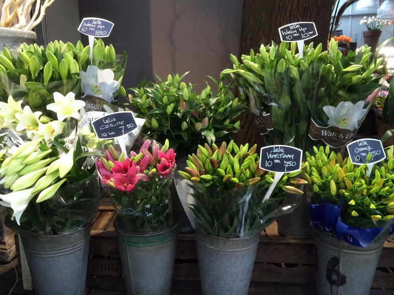 Amsterdam Flower Market paintedposies.com
