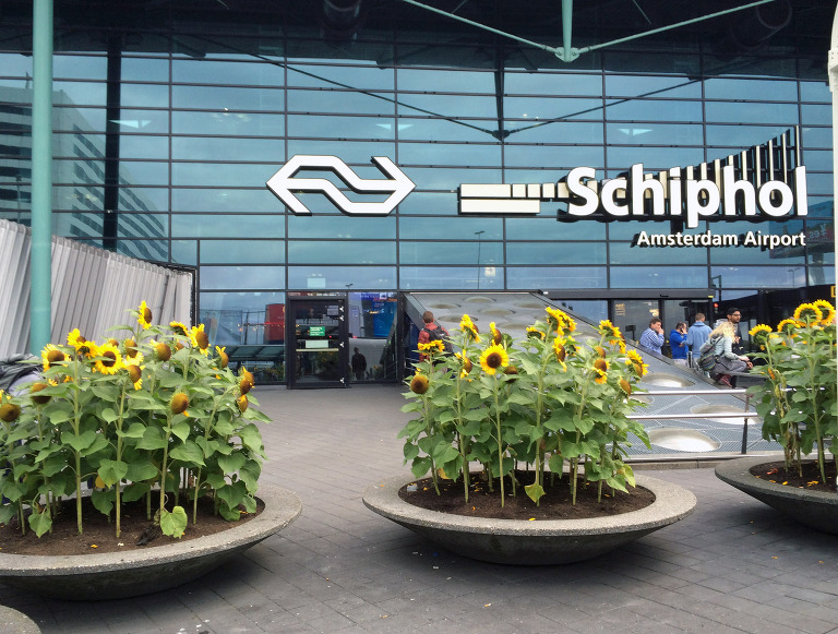 Amsterdam Schiphol Airport paintedposies.com