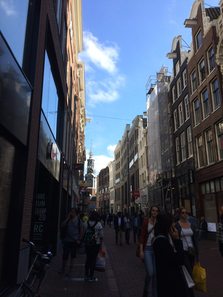 Amsterdam Shopping paintedposies.com