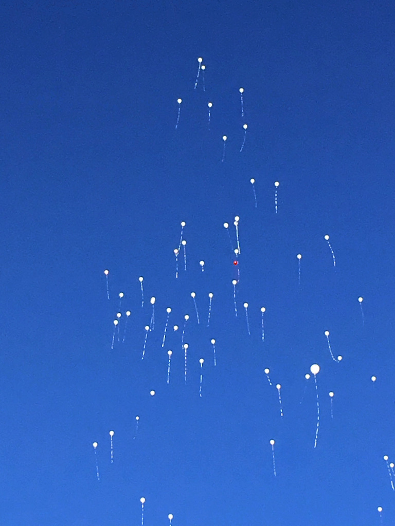 Celebration of Life Balloon Release