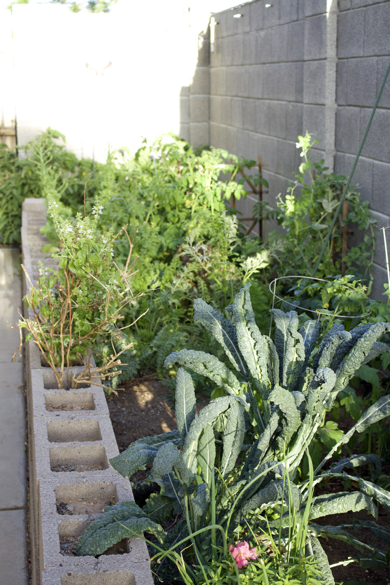 Garden March 2016 paintedposies.com