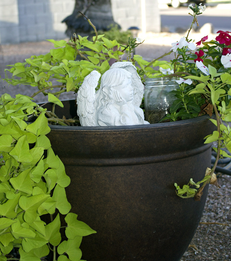 Sweet Potato Plant March 2016 paintedposies.com