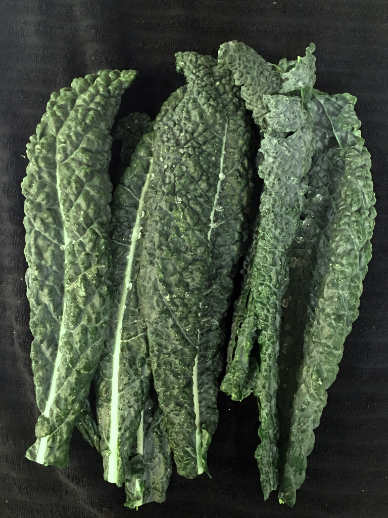 Kale Harvest Spring 2016 paintedposies.com