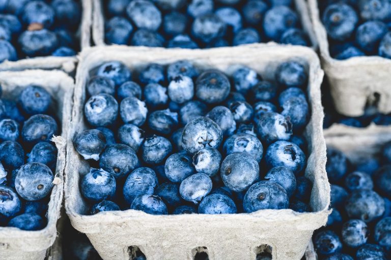 blueberries by veeterzy unsplash.com