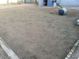 How to Install Sod Leveling the Soil paintedposies.com