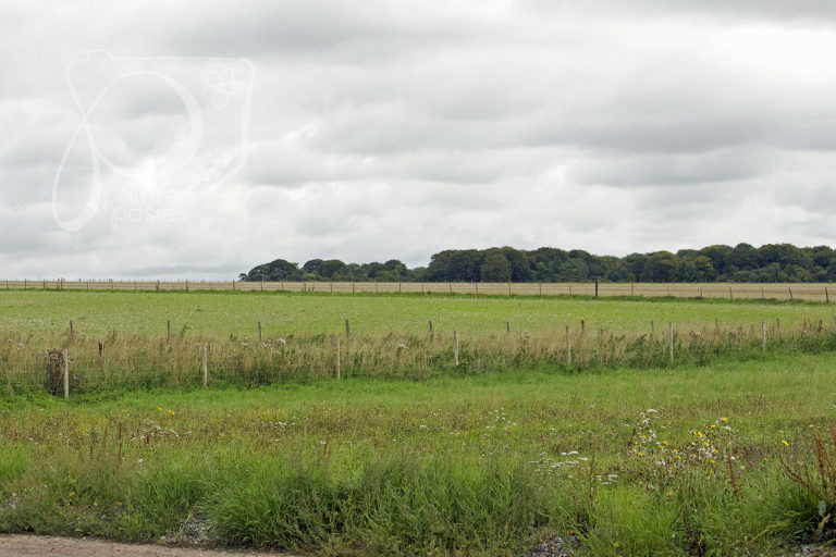 Drive to Stonehenge Countryside Wandering Eye Wednesday paintedposies.com