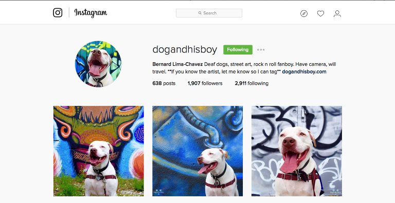 Dog And His Boy Instagram paintedposies.com