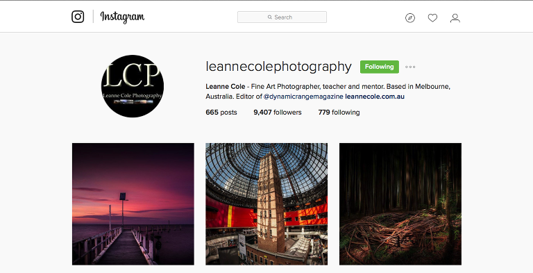 Leanne Cole Photography Instagram paintedposies.com