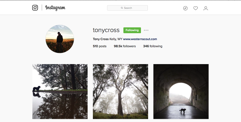 Tony Cross Instagram paintedposies.com