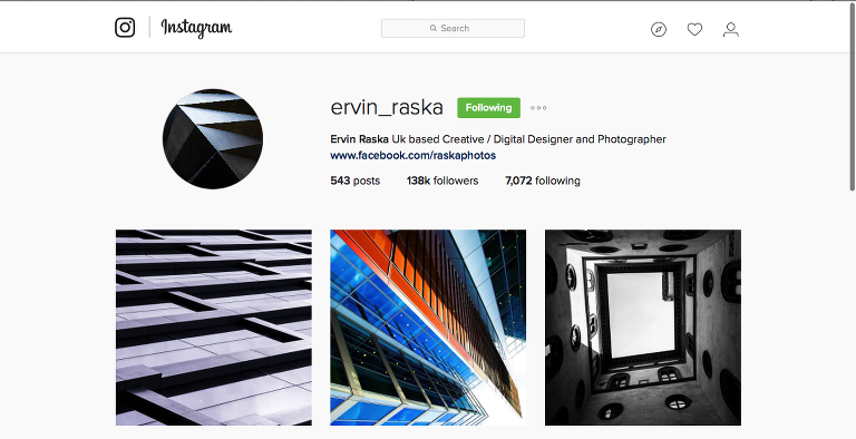 Ervin Raska Instagram paintedposies.com