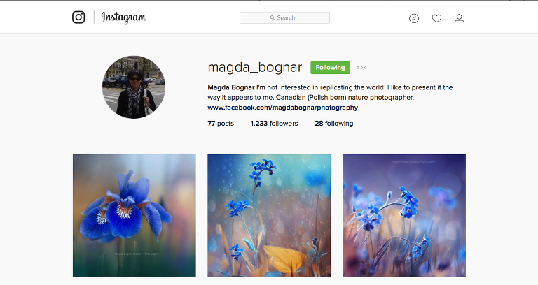 Magda Bodnar Instagram paintedposies.com