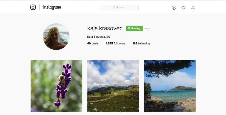 Kaja Krasovec Instagram paintedposies.com