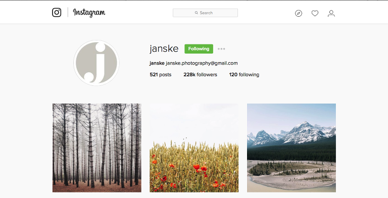 Janske Instagram paintedposies.com