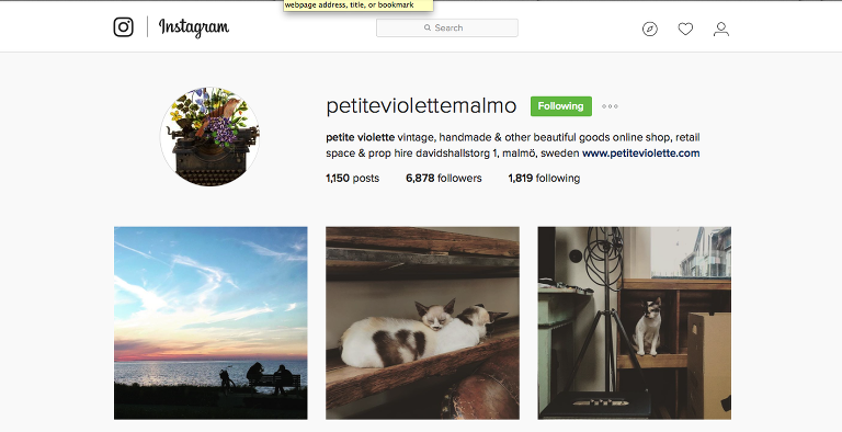 Petite Violette Instagram paintedposies.com
