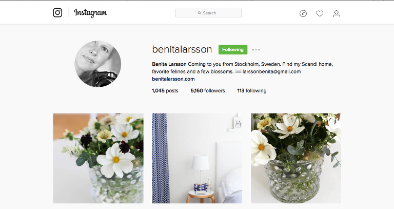 Benita Larsson Instagram paintedposies.com