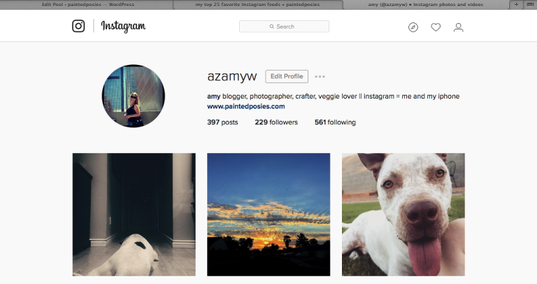 azamyw on Instagram paintedposies.com