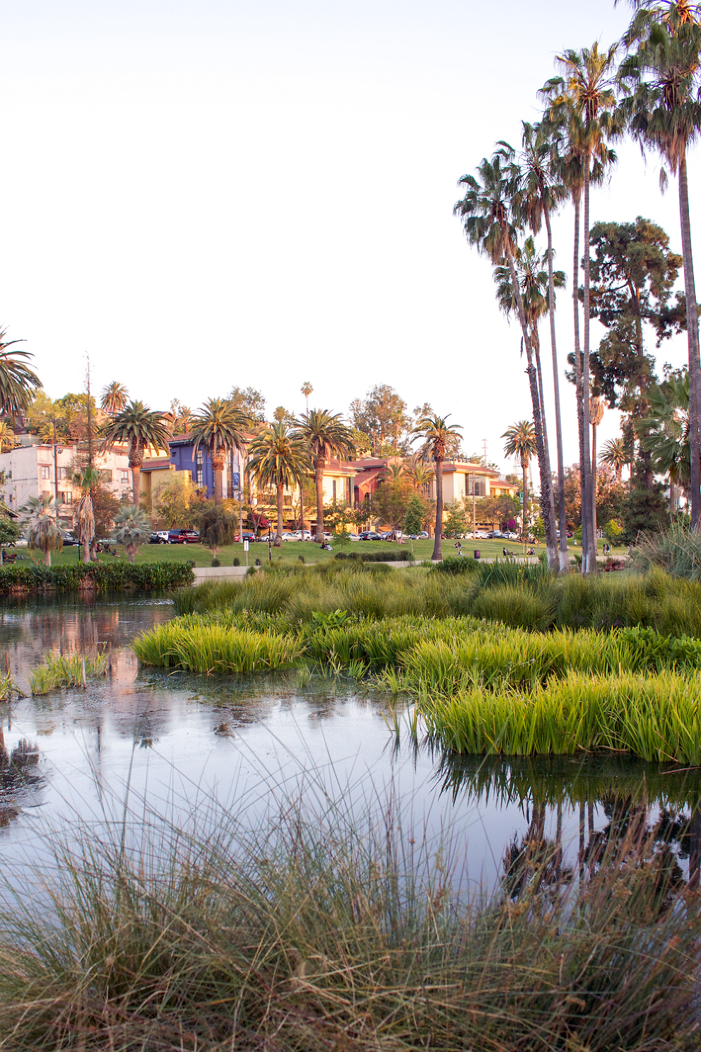 Echo Park In Los Angeles California Paintedposies